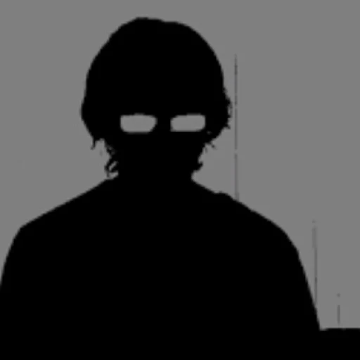 The observer