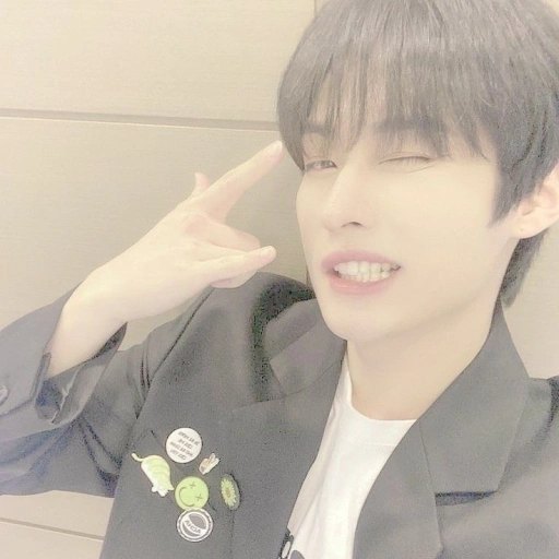 Lee Know ( 🐾 ) !!