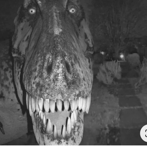dinosaur rex