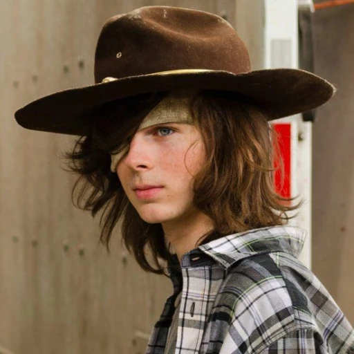 carl grimes 