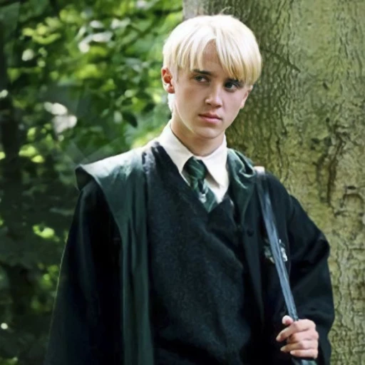 Draco Lucius Malfoy