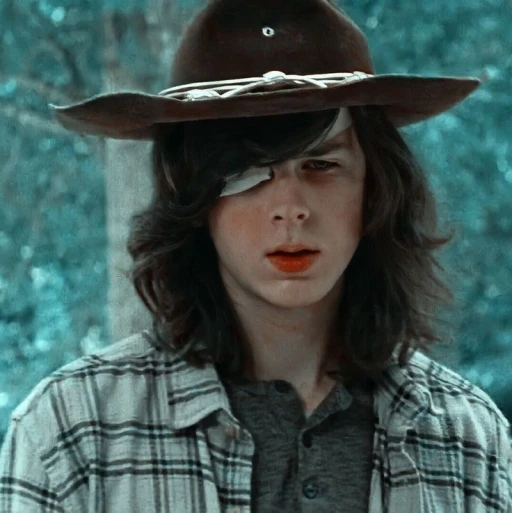 ☆♡carl grimes