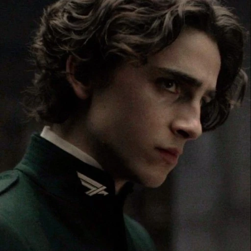 regulus Black
