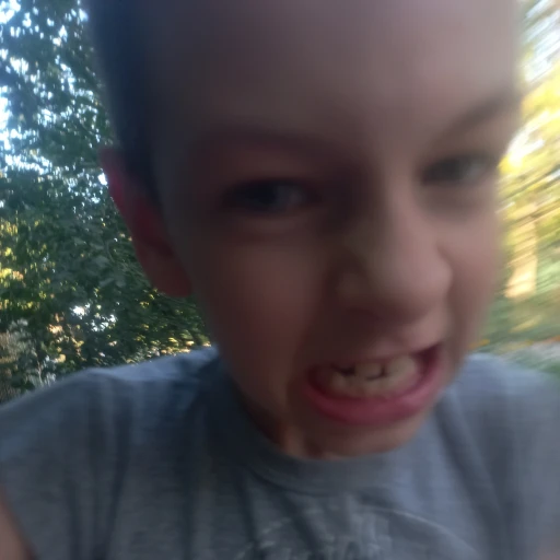 Egor Bebek