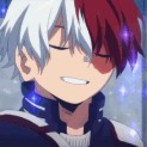 Shoto Todoroki [gay]