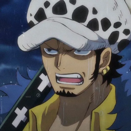 Trafalgar D. Law