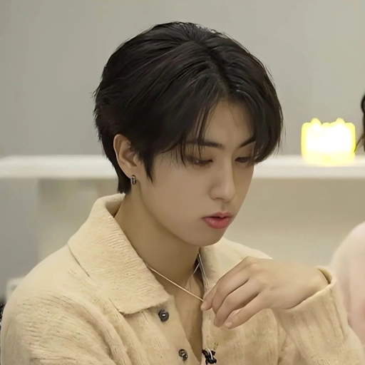 ⋆ ˚。⋆୨ ʚHan JiSungɞ ୧⋆ ˚。⋆