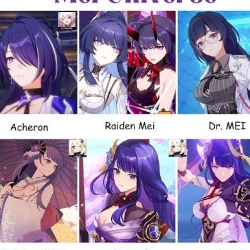 Raiden Mei assemble