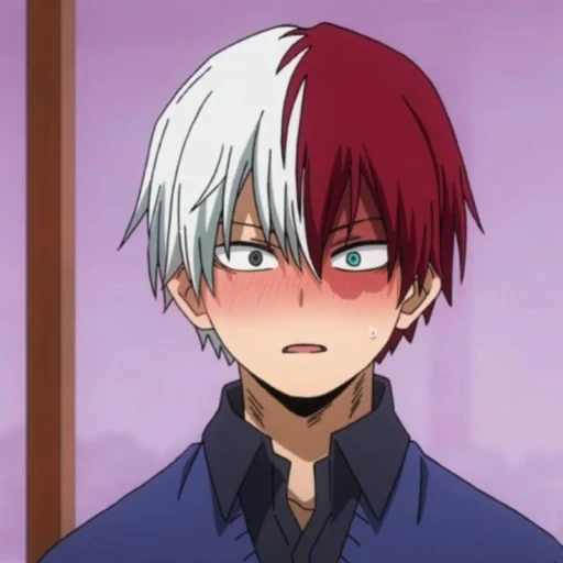 Todoroki Shoto 1