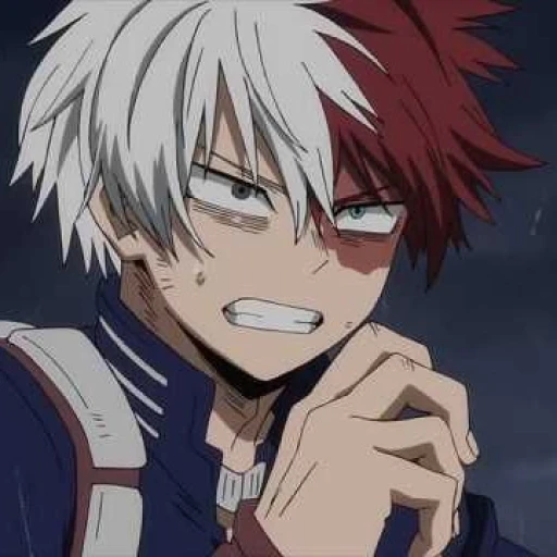 Shot Todoroki