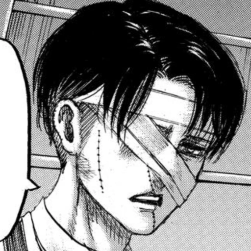 Levi {wheelchair} [DAG]