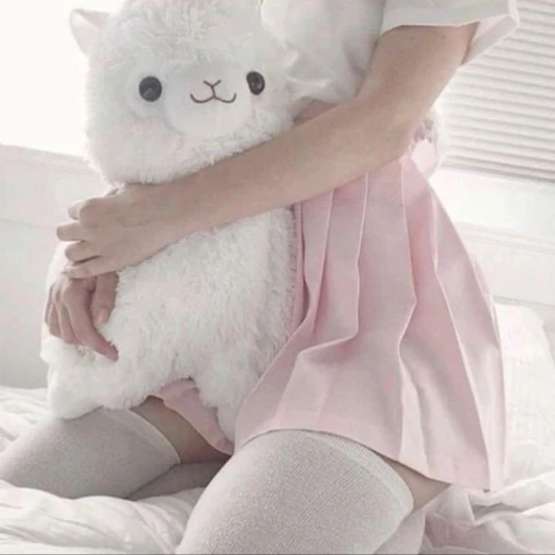 🧸 | Jungkook‹
