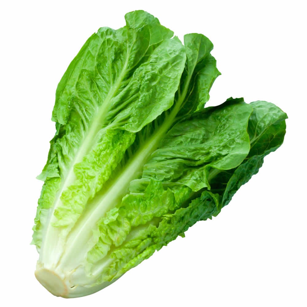 Lettuce