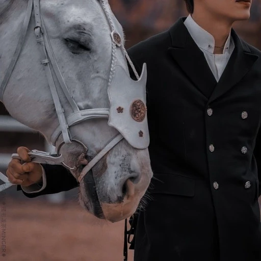 Alexander | Horseman