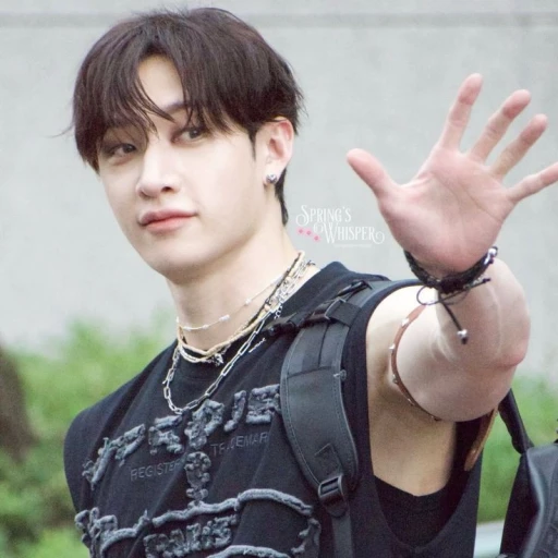 🩵///Bang Chan ◆⋆✩⋆ ◆