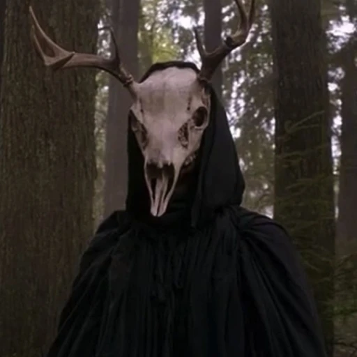 Colin – child of the forest