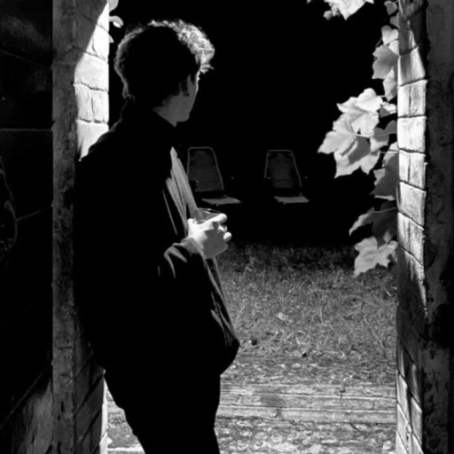 Regulus Black
