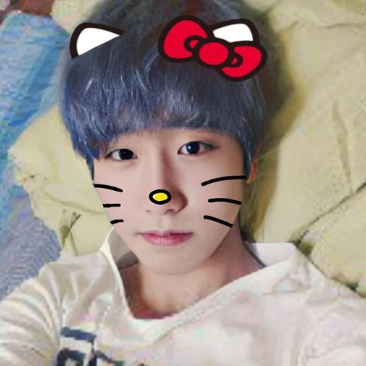 Han Jisung.