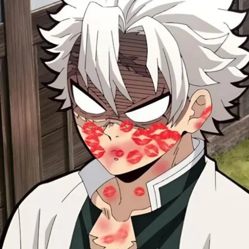 ~|| Sanemi Shinazugawa ~