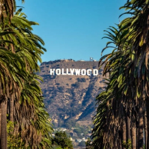 HOLLYWOOD life