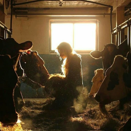 Farm Simulator