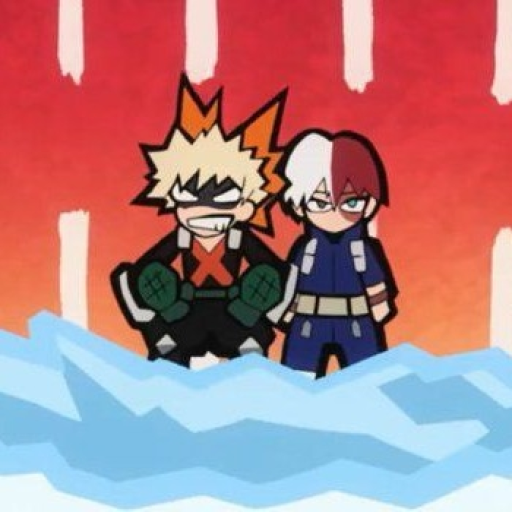 Bakugo Katsuki and Shoto Todoroki