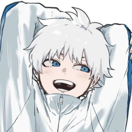 •|| Touya Todoroki¹||•
