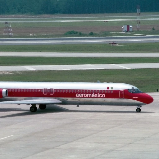 auromexico flight 498 un spanish (plane that collided with a child and crashed)