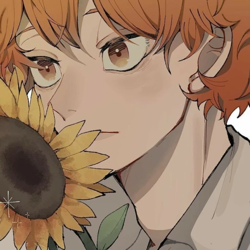 ☀|| Shoyo Hinata (BL)