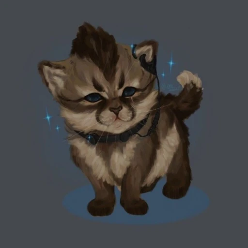 Soap MacTavish - cat