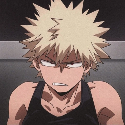 Katsuki Bakugo (combat) Replaced