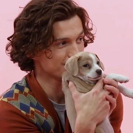 Peter Parker ♥