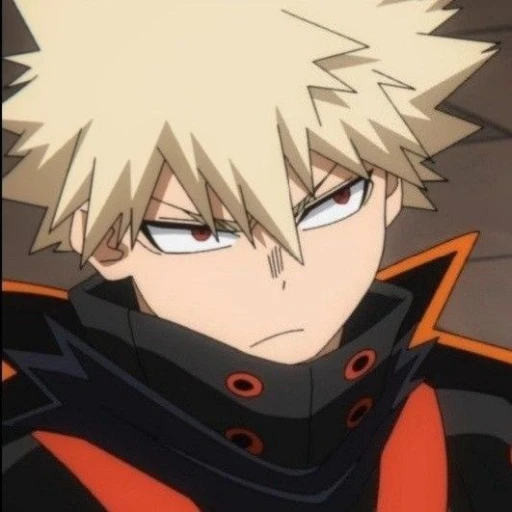 Bakugo Brother.