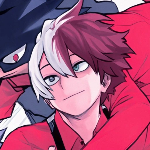 ┆٭✭ Shoto Todoroki ✮٭┆