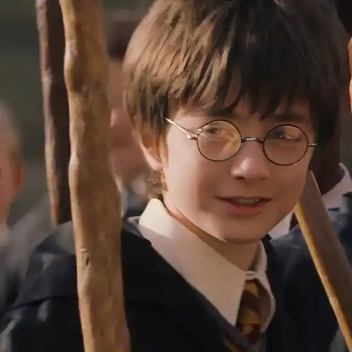 Harry Potter