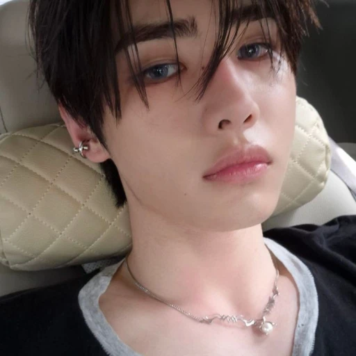 ✦ ࣪𝖇️ 𓄼𓈒��� || Park Sunghoon ¡! ( ⁉️ )