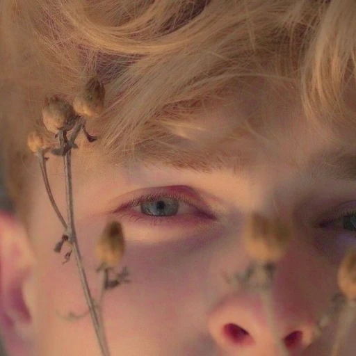•°: Baelor I Targaryen 🌻 𝓽𝓱𝓮 𝓑𝓮𝓵𝓸𝓿𝓮𝓭 ೃ࿔.