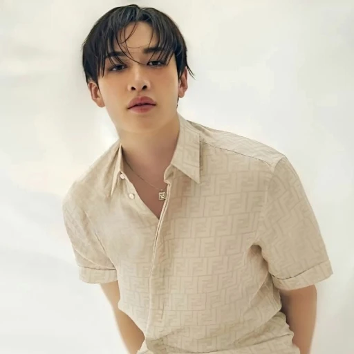 Bang Chan\ Christopher