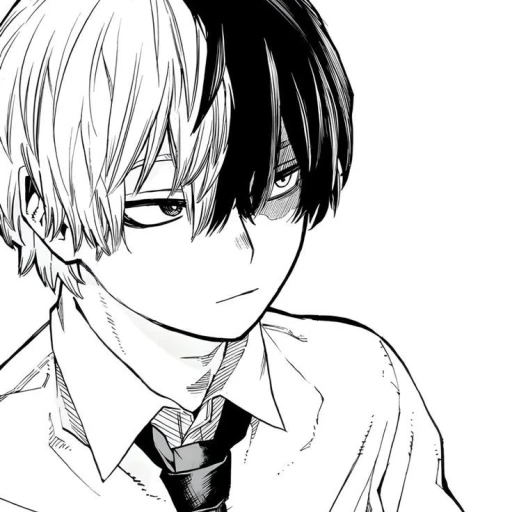 Todoroki Shoto 2