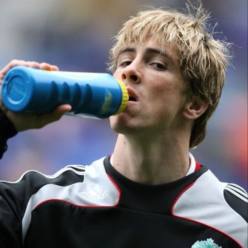 Fernando Torres