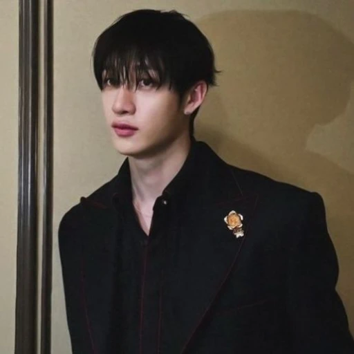 Bang Chan (_Twochan_)