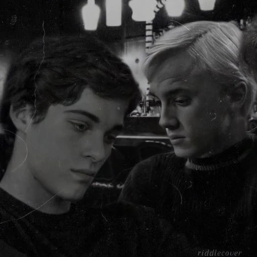 Draco and Theo