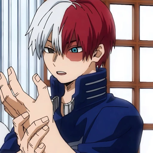 Shot Todoroki