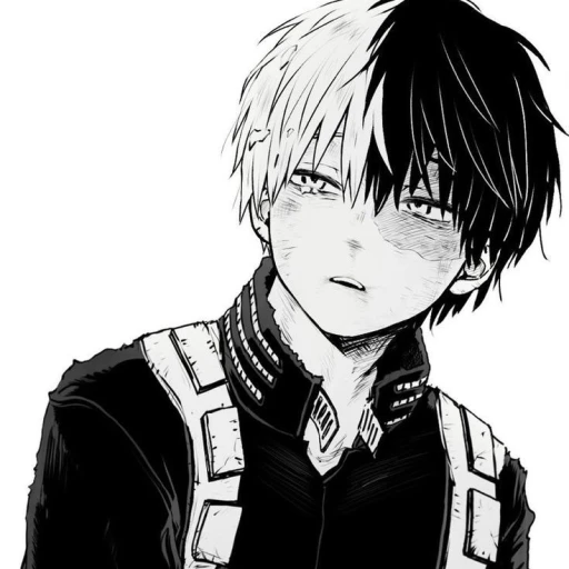 Shoto Todoroki. [BL]