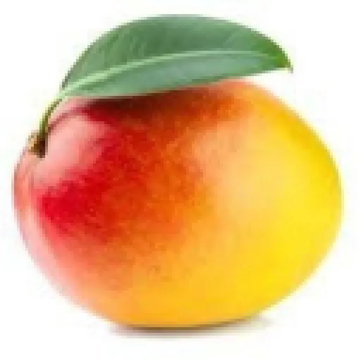 MyNameIsMango