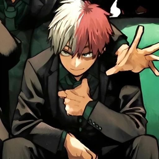 Shota Todoroki