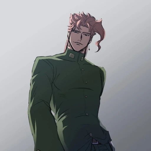 kakyoin noriaki🍒