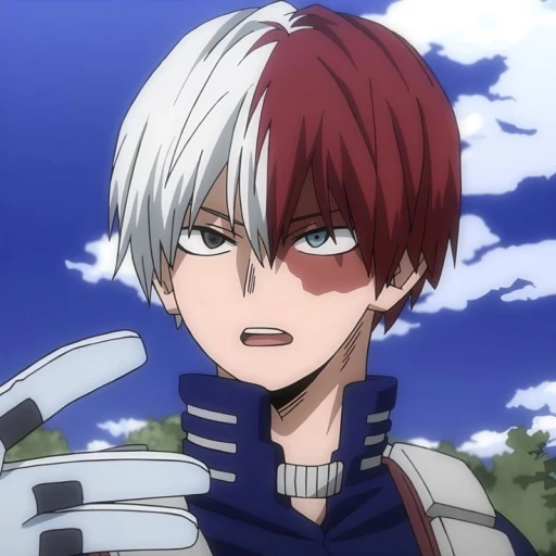 Shot Todoroki