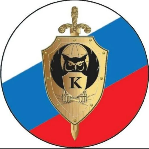 Cyber Police Department of the Russian Federation