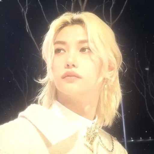 1 ꯭⭐ Lee Felix ᵎᵎ